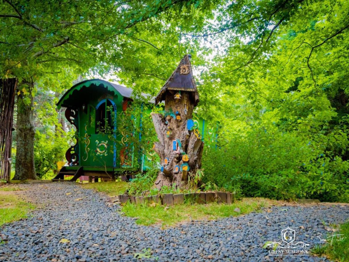 Gypsy Wagons And Vans, Clarens Cameră foto